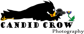 Candid Crow Photography